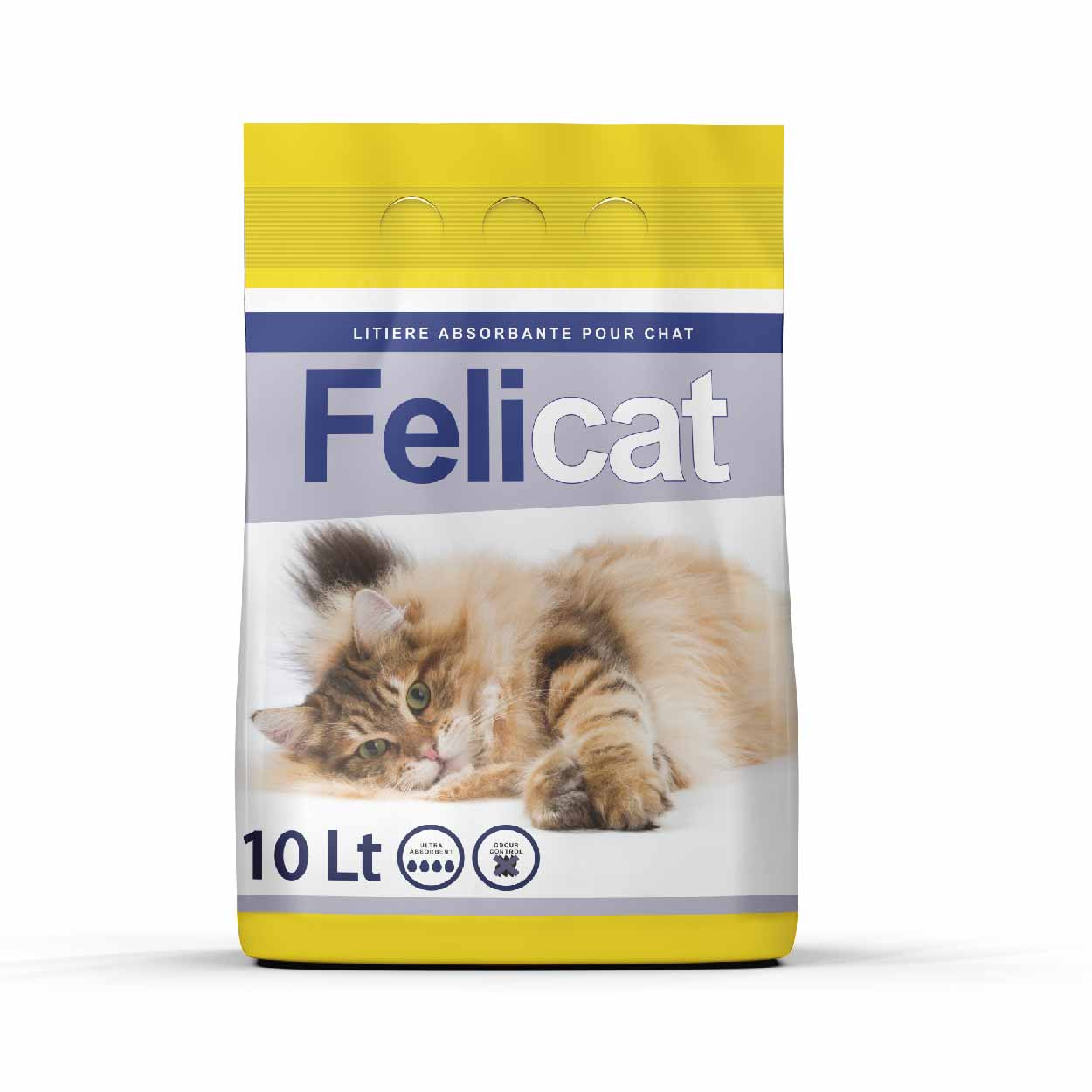 FELICAT Litiére Absorbante 10Lt