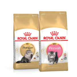 Royal Canin Race chat