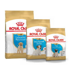 Royal Canin Race chien