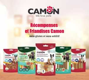 CAMON Friandises