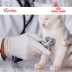 Pack Veto Royal canin