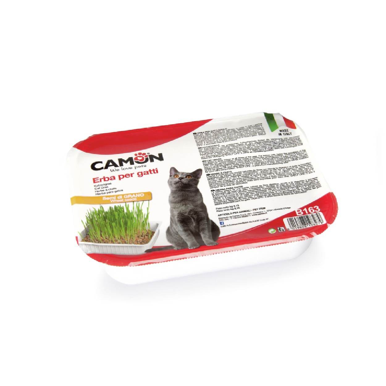 CAMON-Herbe à chat