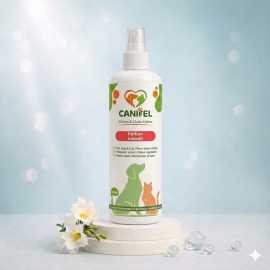 CANIFEL Parfum Interdit 100 ML