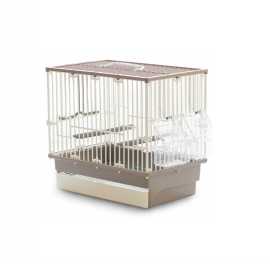 FELICAN Cage Canari