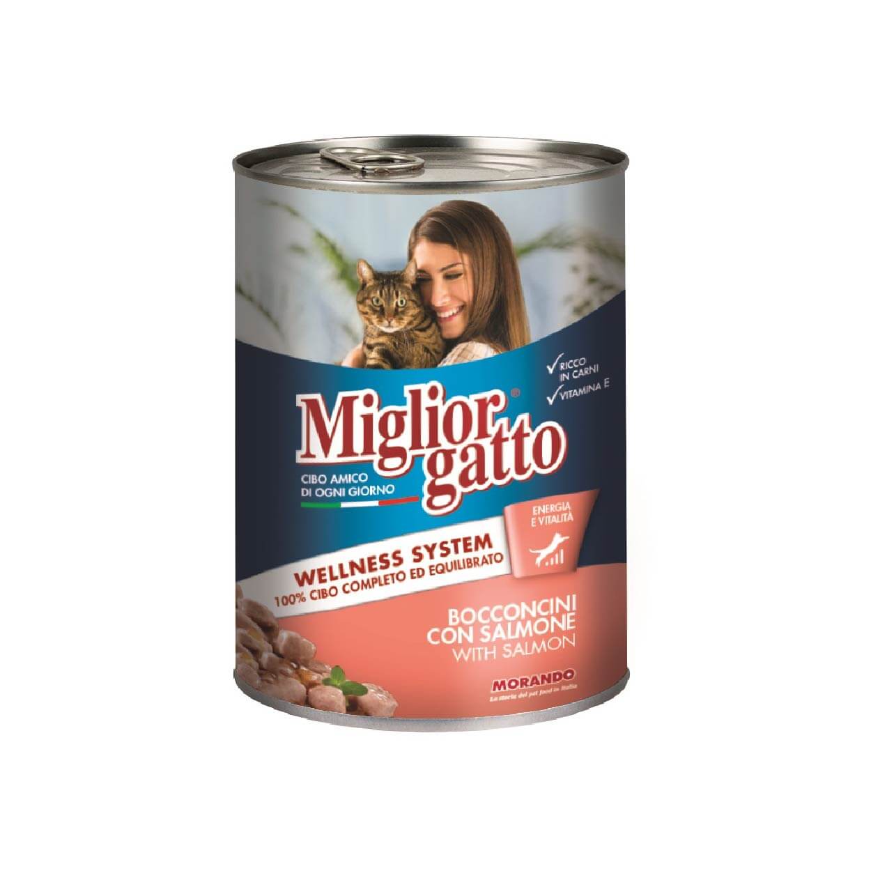 Miglior gatto Salmone boite 405 gr