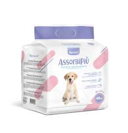 RECORD Tapis Absorbant 40P 40x60