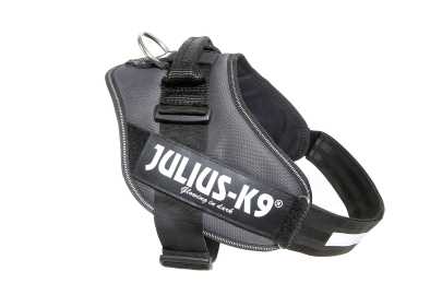 Julius k-9 size 1 Gris 63-85 cm, 23-30 kg