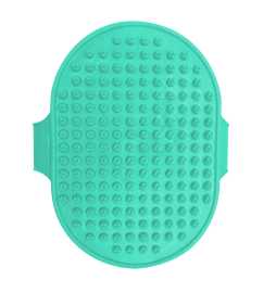 RECORD Brosse Anti-Poils 13x9cm
