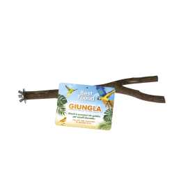 BEST FRIEND Jungle En Bois Naturel 20 CM