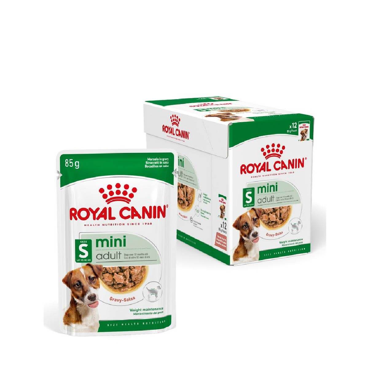 SHN Royal canin CHIEN Mini Adult 12x85 Gr