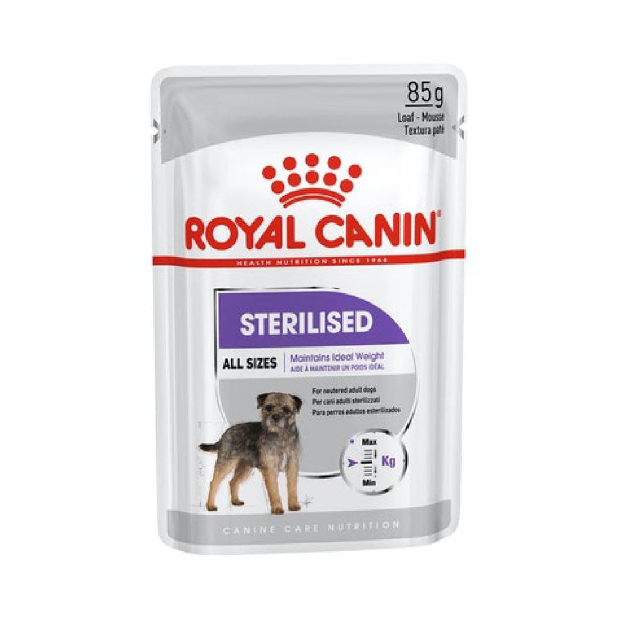 CCN Royal canin CHIEN Mini Sterilised Loaf 12x85gr