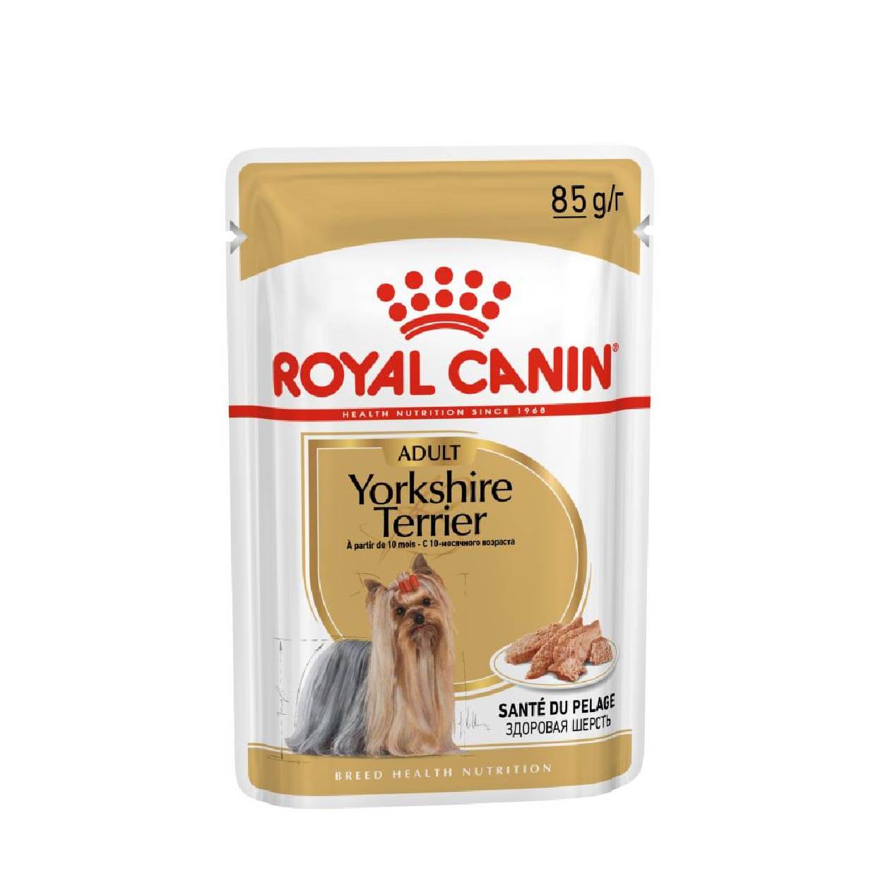 BHN Royal Canin CHIEN Yorkshire 12 x 85 gr