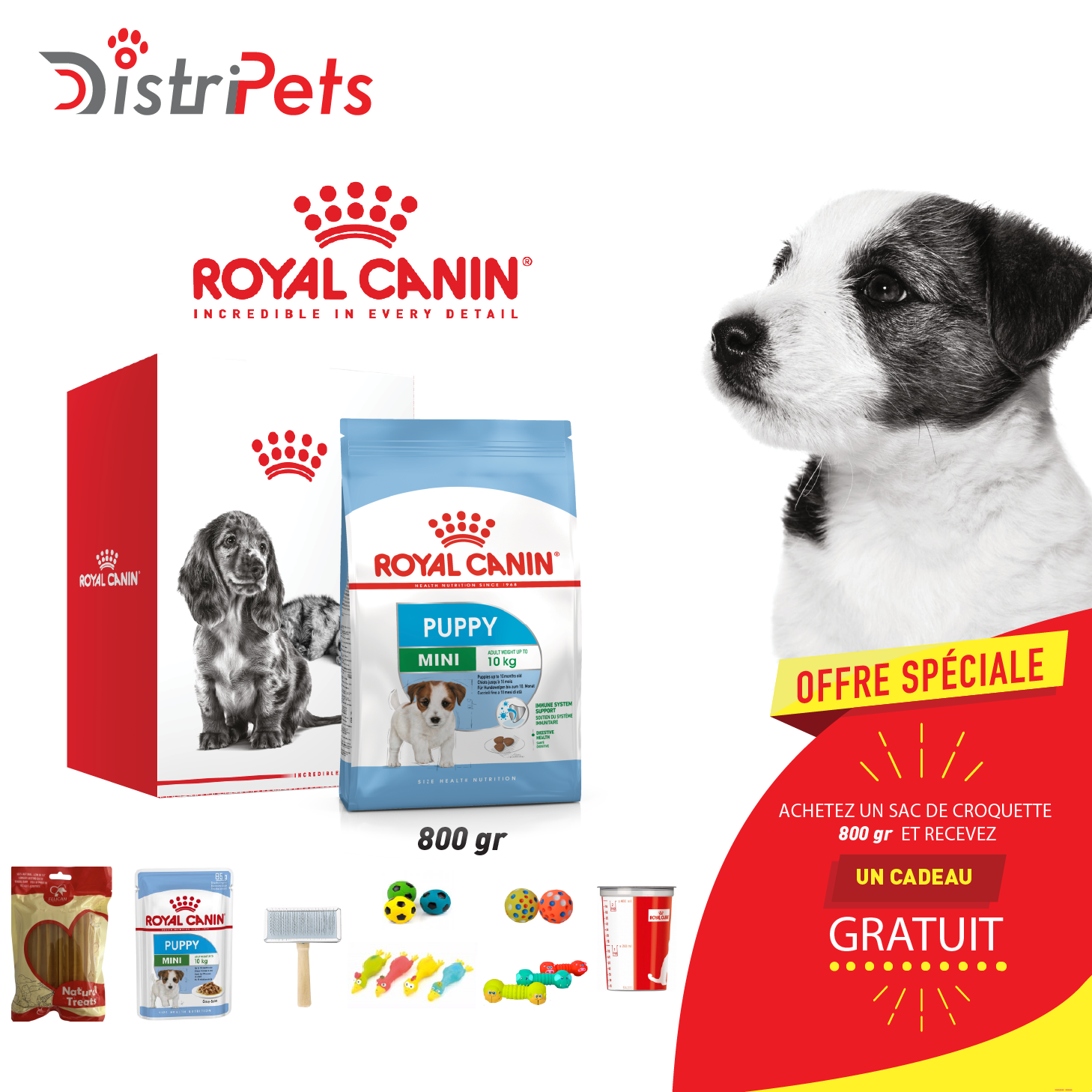 Kit de recrutement RC CHIEN Mini Puppy 800 gr