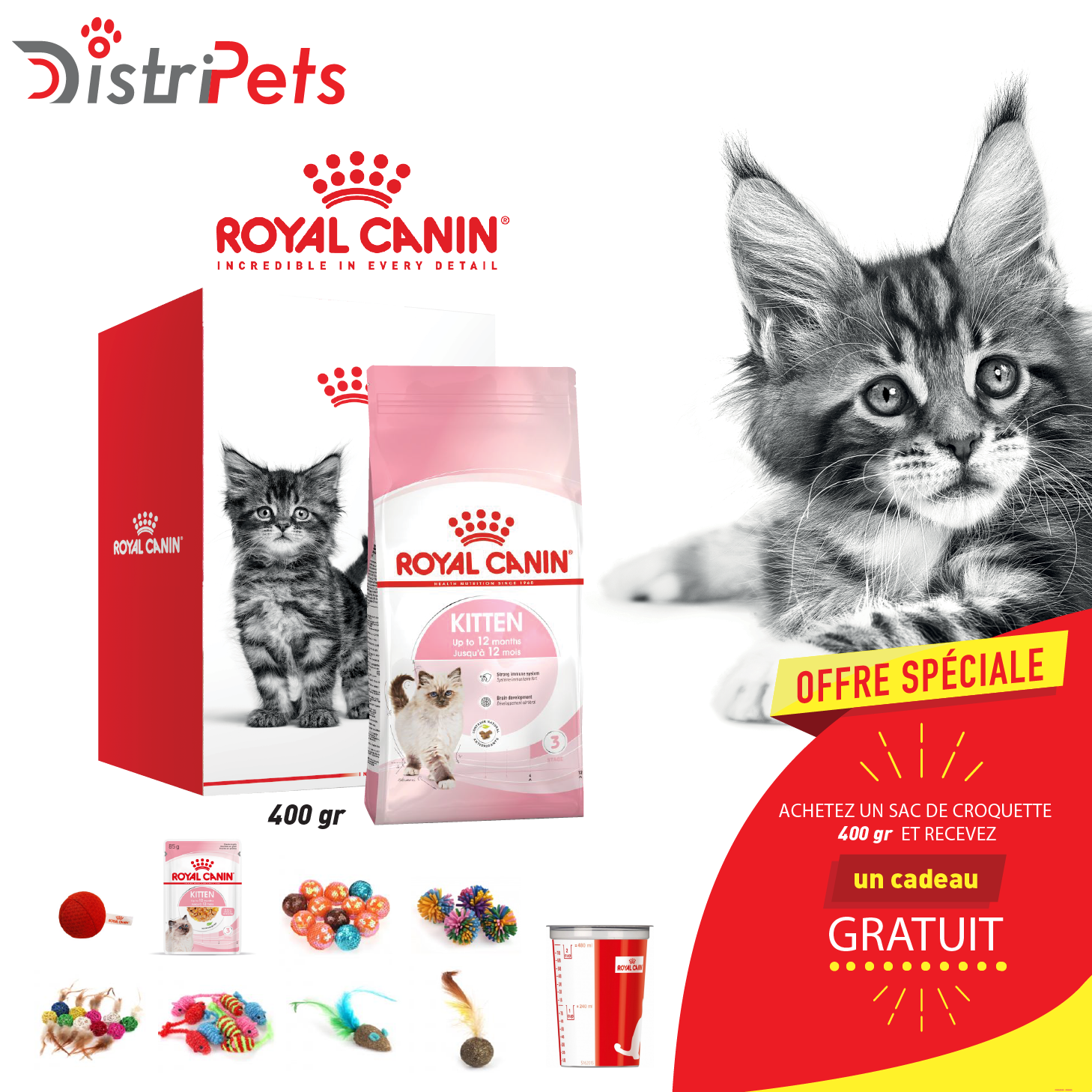 Kit de recrutement RC CHAT Kitten 400 gr