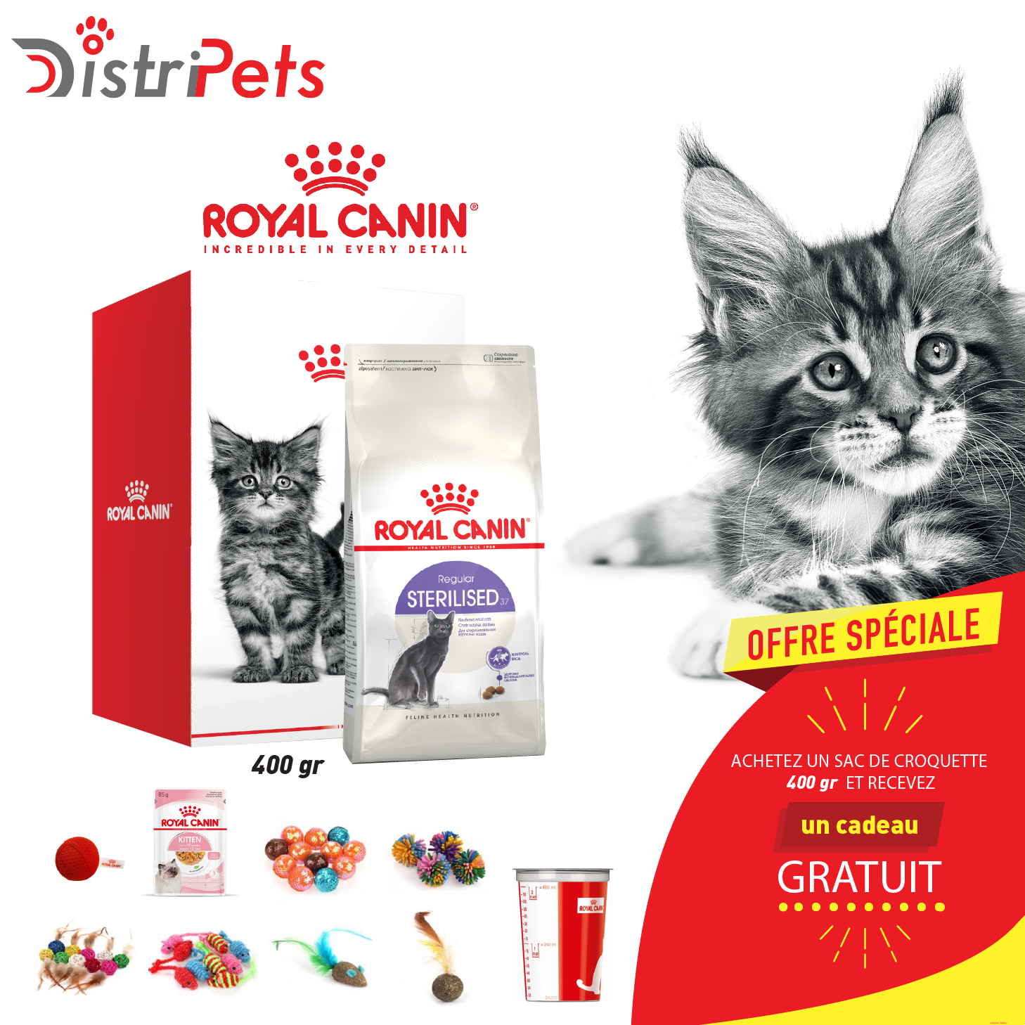 Kit de recrutement RC CHAT Sterilised 400 gr